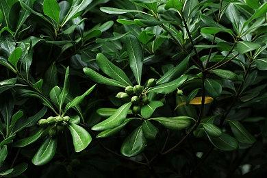 外媒统计 2022年XGP新入库游戏总价值超5万元