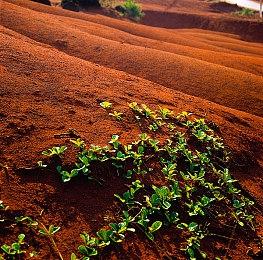 《战火英雄》登陆Steam 经典竞技场射击新游